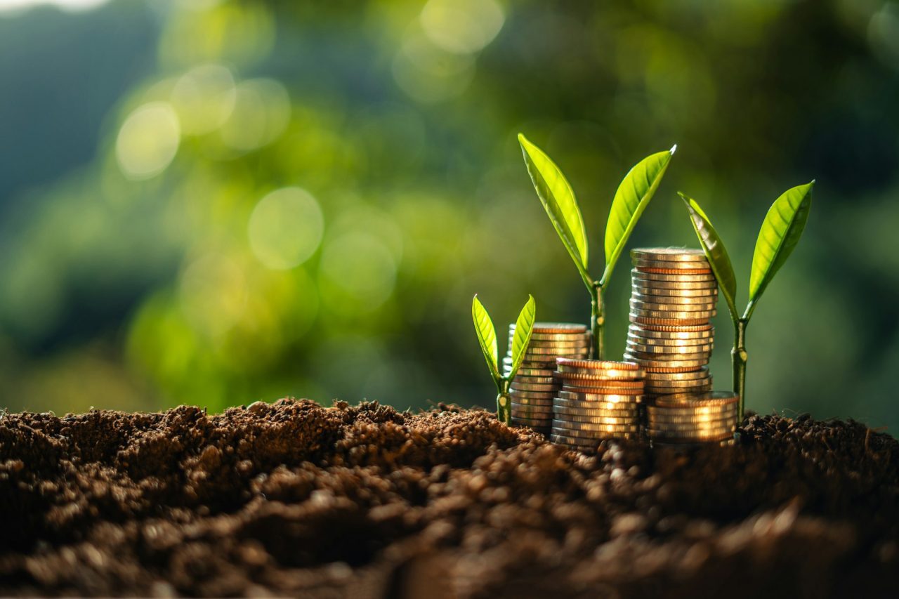 money-and-tree-grow-up-to-saving-money-concept.jpg